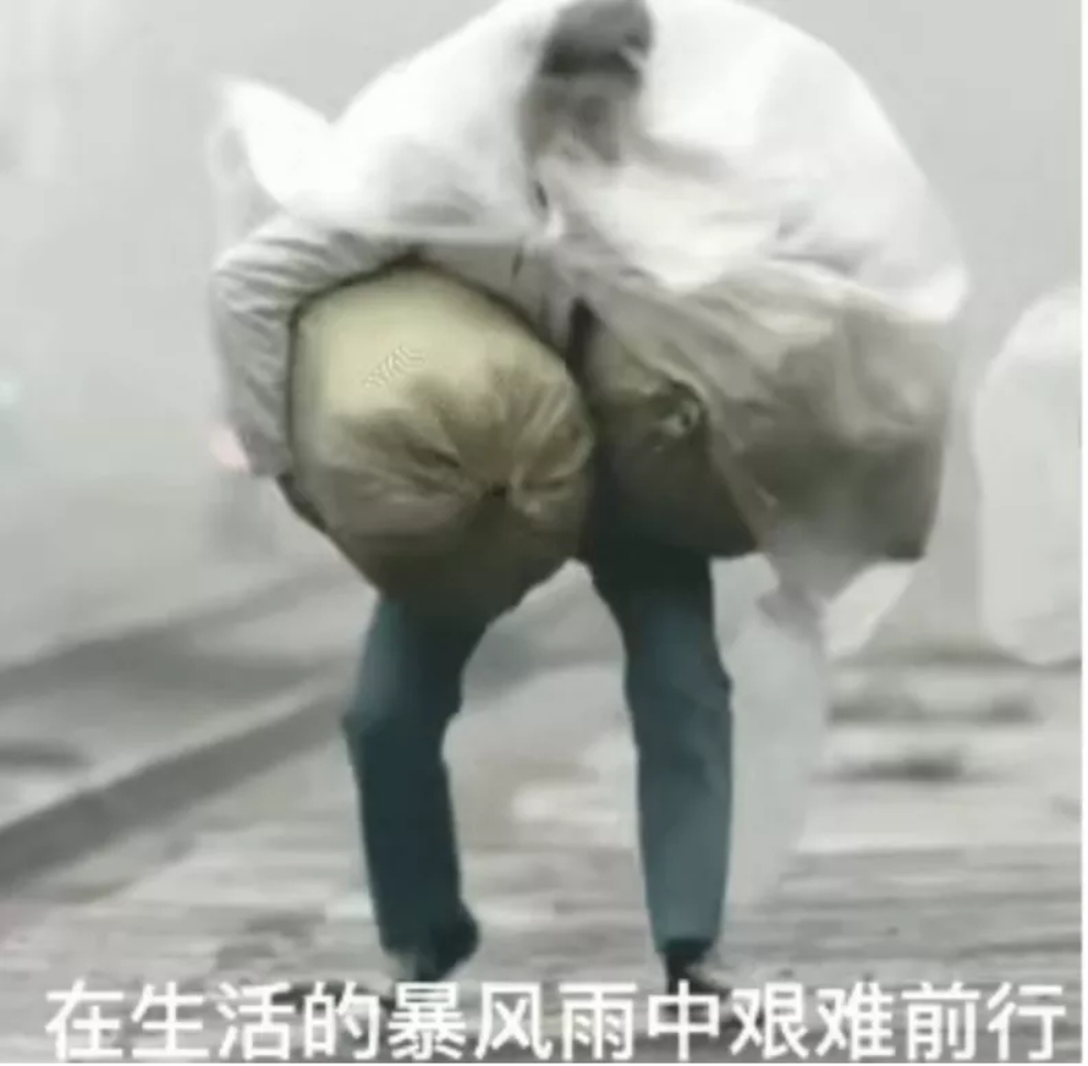 被冒充后小说结局，许嘉张蔷蔷《离谱冒充》后续全文阅读
