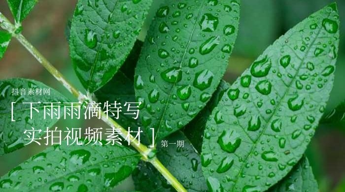 下雨雨滴素材视频合集下载(一)