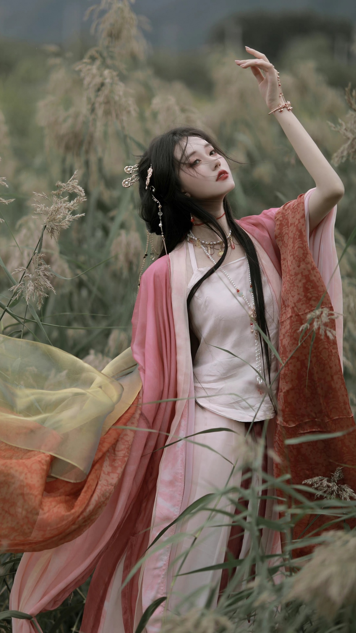 豆腐娘亲(明珠之恋)知乎小说无弹窗后续结局全文阅读