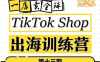 疯人院:TikTok Shop 出海训练营(一店卖全球)