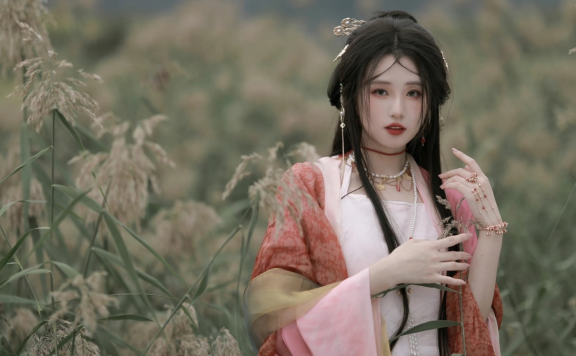 知乎月下星光(安念黎慬)小说无弹窗阅读，月下星光梦幻提亲结局全文阅读