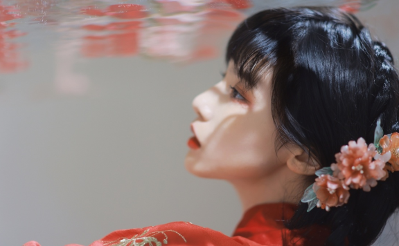 知乎小说天香女子(姜白玉杨慎远白玉日记)后续章节全文阅读